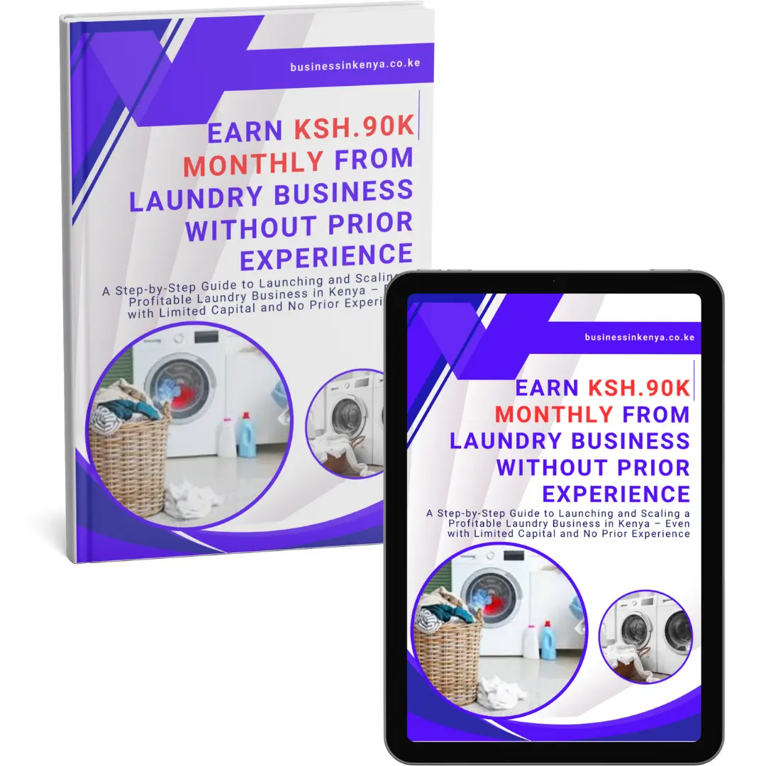 Earn Ksh.90k Monthly From Laundry Business Without Prior Experience